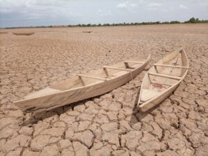 two wooden canoes in dried bay